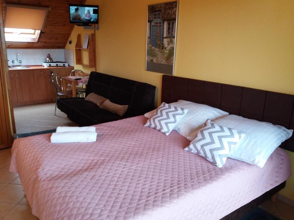 Отели типа «постель и завтрак» Pensjonacik Ewa Дарлово-31